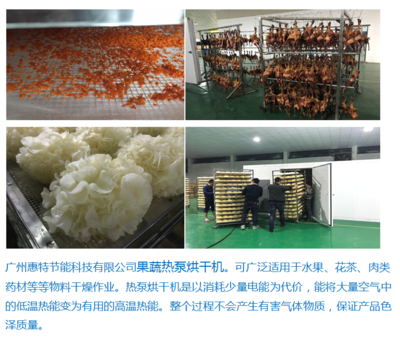 廣州惠特高科農(nóng)產(chǎn)品類 果蔬熱泵烘干機