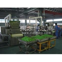 一步供應(yīng)脫水蔬菜帶式干燥機(jī)