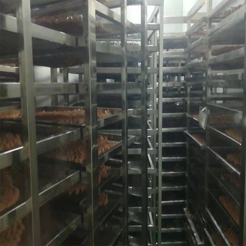 草果烘干機八角茴香孜然香料烘干機金凱藥材熱泵果蔬烘干機